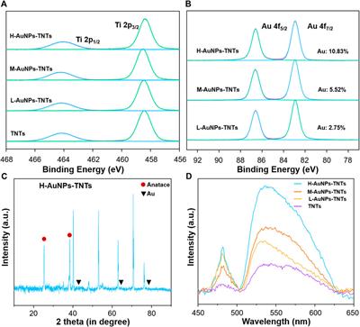 Gold nanoparticle decoration potentiate the antibacterial enhancement of TiO2 nanotubes via sonodynamic therapy against peri-implant infections